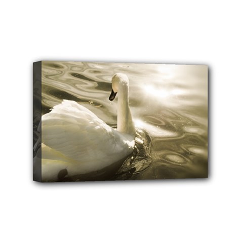 Swan 4  X 6  Framed Canvas Print by artposters