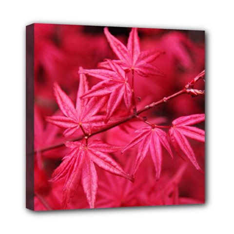 Red Autumn Mini Canvas 8  X 8  (framed) by ADIStyle