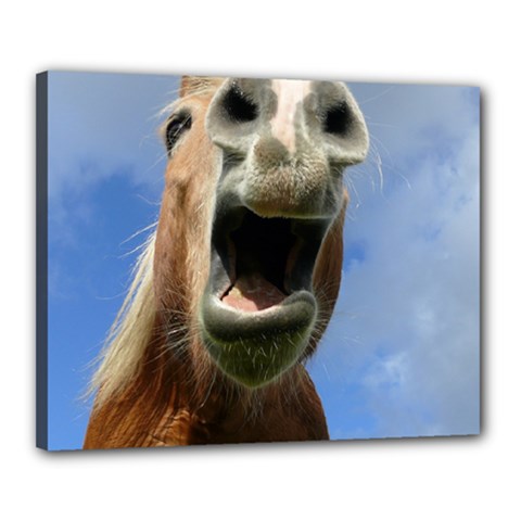 Haflinger  Canvas 20  X 16  (framed) by Siebenhuehner