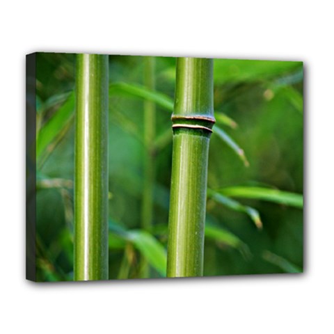 Bamboo Canvas 14  X 11  (framed) by Siebenhuehner