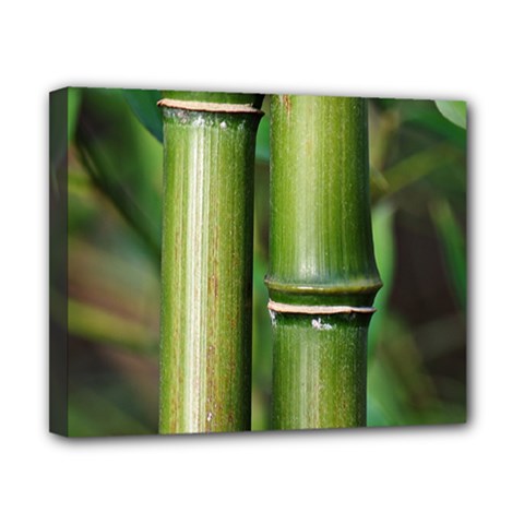 Bamboo Canvas 10  X 8  (framed) by Siebenhuehner