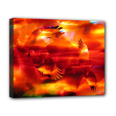 Pluke Deluxe Canvas 20  X 16  (framed)