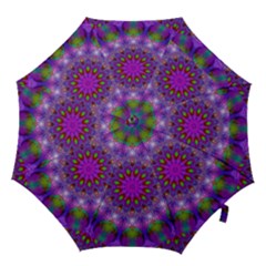 Rainbow At Dusk, Abstract Star Of Light Hook Handle Umbrella (large) by DianeClancy