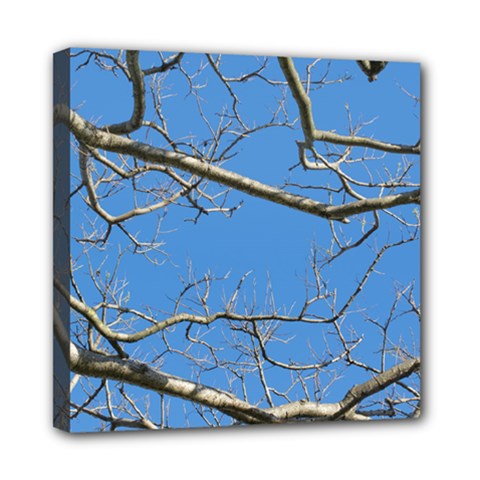 Leafless Tree Branches Against Blue Sky Mini Canvas 8  X 8  by dflcprints