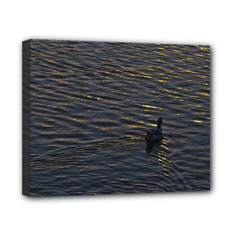 Lonely Duck Swimming At Lake At Sunset Time Canvas 10  X 8  by dflcprints