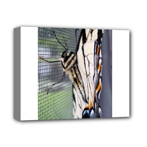 Butterfly 1 Deluxe Canvas 14  X 11  by Jamboo