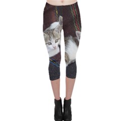 Kitty Twins Capri Leggings by trendistuff