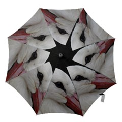 Wild Stork Bird, Close-up Hook Handle Umbrellas (large) by picsaspassion