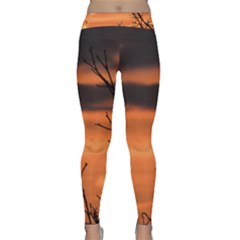 Tree Branches And Sunset Yoga Leggings  by picsaspassion