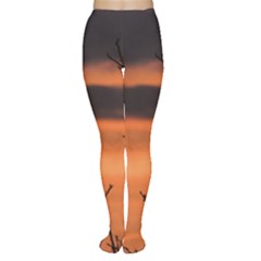 Tree Branches And Sunset Women s Tights by picsaspassion