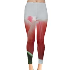 Red Tulips Leggings  by picsaspassion