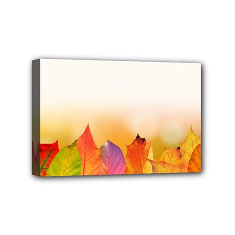 Autumn Leaves Colorful Fall Foliage Mini Canvas 6  X 4 