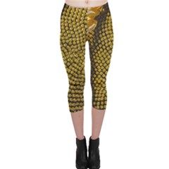 Sunflower Bright Close Up Color Disk Florets Capri Leggings  by Amaryn4rt