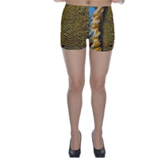 Sunflower Bright Close Up Color Disk Florets Skinny Shorts by Amaryn4rt