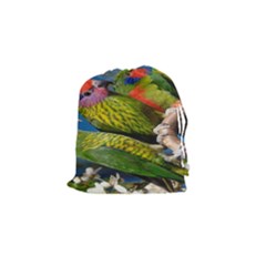 Beautifull Parrots Bird Drawstring Pouches (small)  by Nexatart