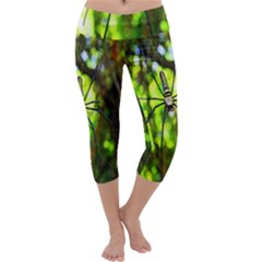 Spider Spiders Web Spider Web Capri Yoga Leggings by Nexatart