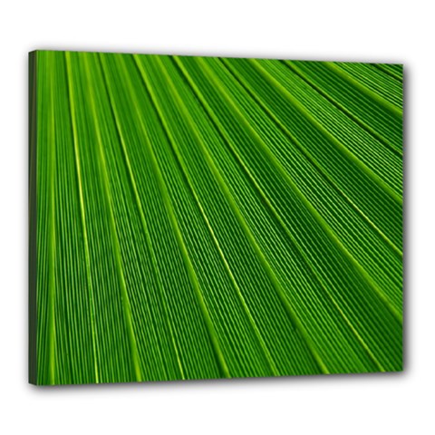 Green Lines Macro Pattern Canvas 24  X 20  by Amaryn4rt