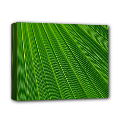 Green Lines Macro Pattern Deluxe Canvas 14  X 11  by Amaryn4rt