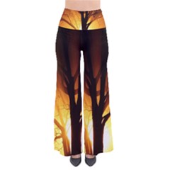 Rays Of Light Tree In Fog At Night Pants by Amaryn4rt