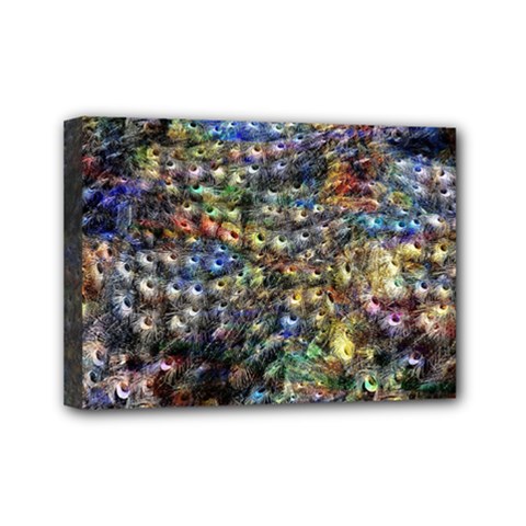 Multi Color Peacock Feathers Mini Canvas 7  X 5  by Simbadda