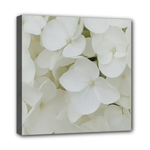 Hydrangea Flowers Blossom White Floral Photography Elegant Bridal Chic  Mini Canvas 8  X 8  by yoursparklingshop