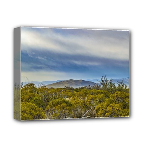 Patagonian Lanscape Scene, Santa Cruz, Argentina Deluxe Canvas 14  X 11  by dflcprints