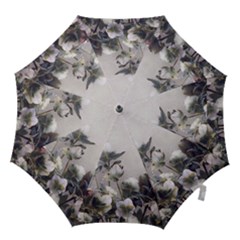 Watercolour Hook Handle Umbrellas (large)