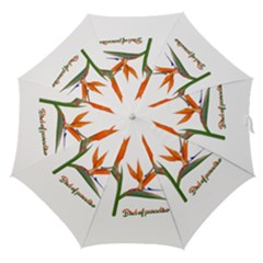 Bird Of Paradise Straight Umbrellas by Valentinaart