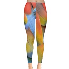 Spring Parrot Parrot Feathers Ara Leggings  by Nexatart