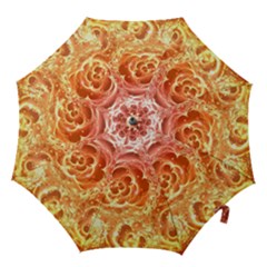 2017 01 18 23 50 44 000 Hook Handle Umbrellas (large)