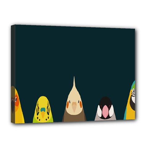 Animals Lovebird Walnut Peacock Parrots Birds Canvas 16  X 12  by Mariart