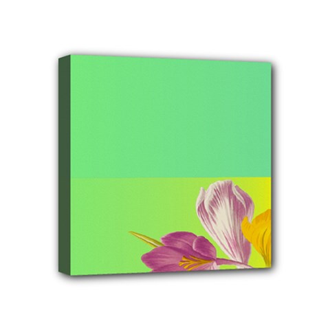 Background Homepage Blossom Bloom Mini Canvas 4  X 4 