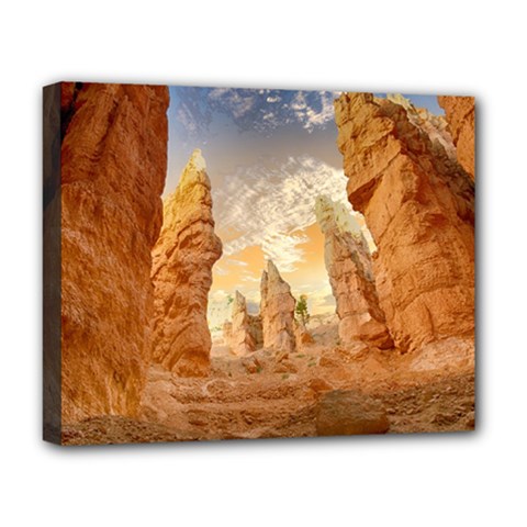 Canyon Desert Landscape Scenic Deluxe Canvas 20  X 16   by Celenk