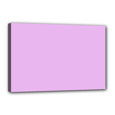 Baby Purple Canvas 18  X 12  by snowwhitegirl