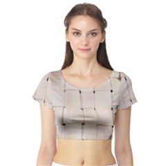 Pastry Case Short Sleeve Crop Top by DeneWestUK