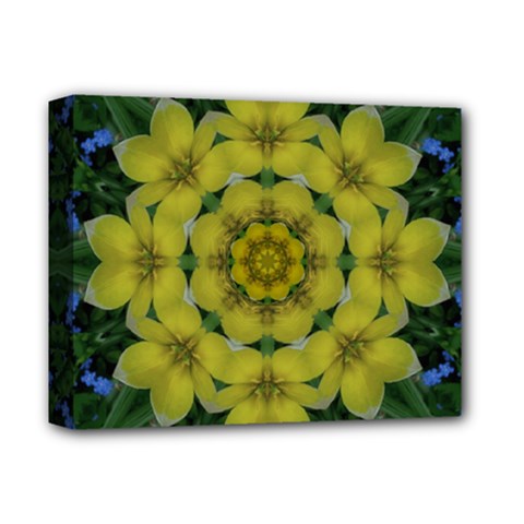 Fantasy Plumeria Decorative Real And Mandala Deluxe Canvas 14  X 11  by pepitasart