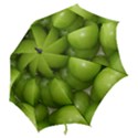 APPLES 4 Hook Handle Umbrellas (Large) View2