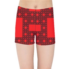 Sierpinski Carpet Plane Fractal Kids Sports Shorts by Sapixe