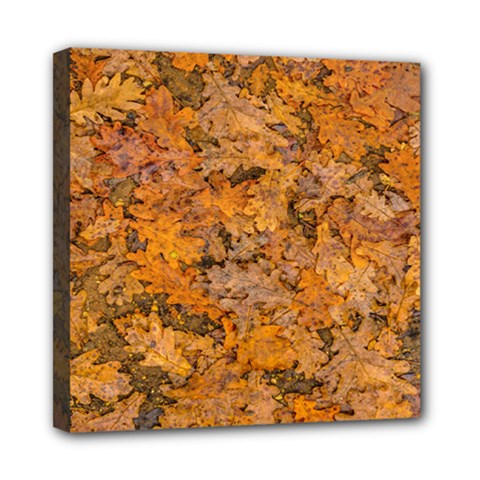 Leaves Motif Pattern Photo 2 Mini Canvas 8  X 8  by dflcprints