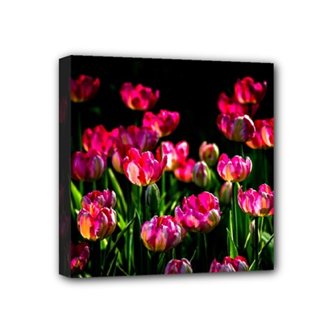 Pink Tulips Dark Background Mini Canvas 4  X 4  by FunnyCow