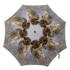 Funny Wet Sparrow Bird Hook Handle Umbrellas (medium) by FunnyCow