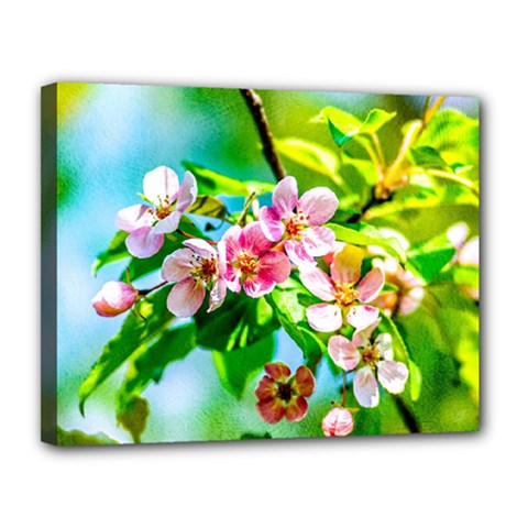 Crab Apple Flowers Canvas 14  X 11  by FunnyCow