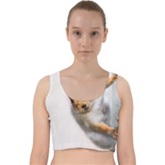 Curious Squirrel Velvet Racer Back Crop Top by FunnyCow