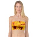 Fire And Flames Bandeau Top View1