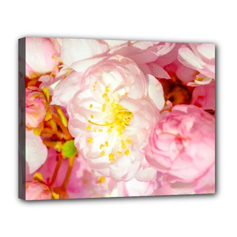 Pink Flowering Almond Flowers Canvas 14  X 11  by FunnyCow