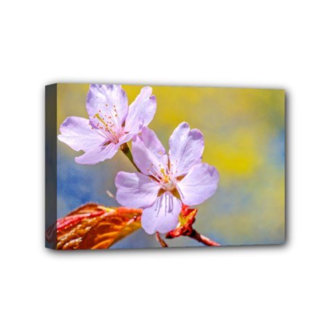 Sakura Flowers On Yellow Mini Canvas 6  X 4  by FunnyCow