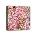 Almond Tree In Bloom Mini Canvas 4  x 4  View1