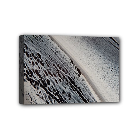Black And White Mini Canvas 6  X 4  (stretched) by WILLBIRDWELL