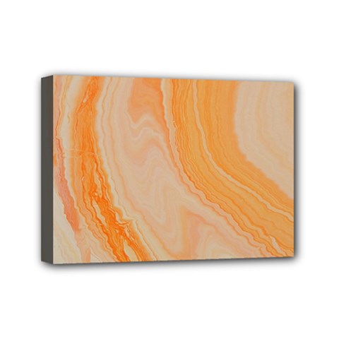 Orange Mini Canvas 7  X 5  (stretched)