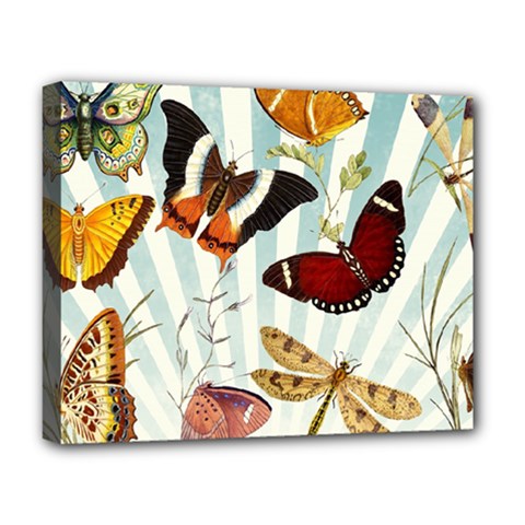 Butterfly 1064147 1920 Deluxe Canvas 20  X 16  (stretched)